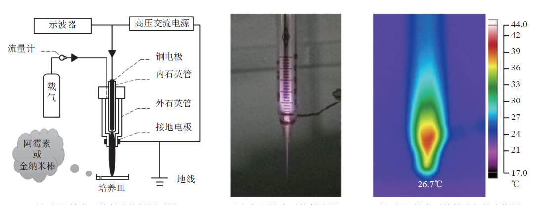 Plasma Technology