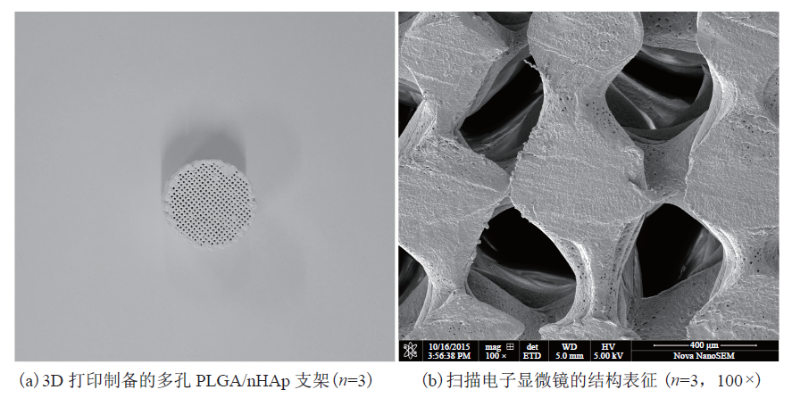 Biomedical Materials